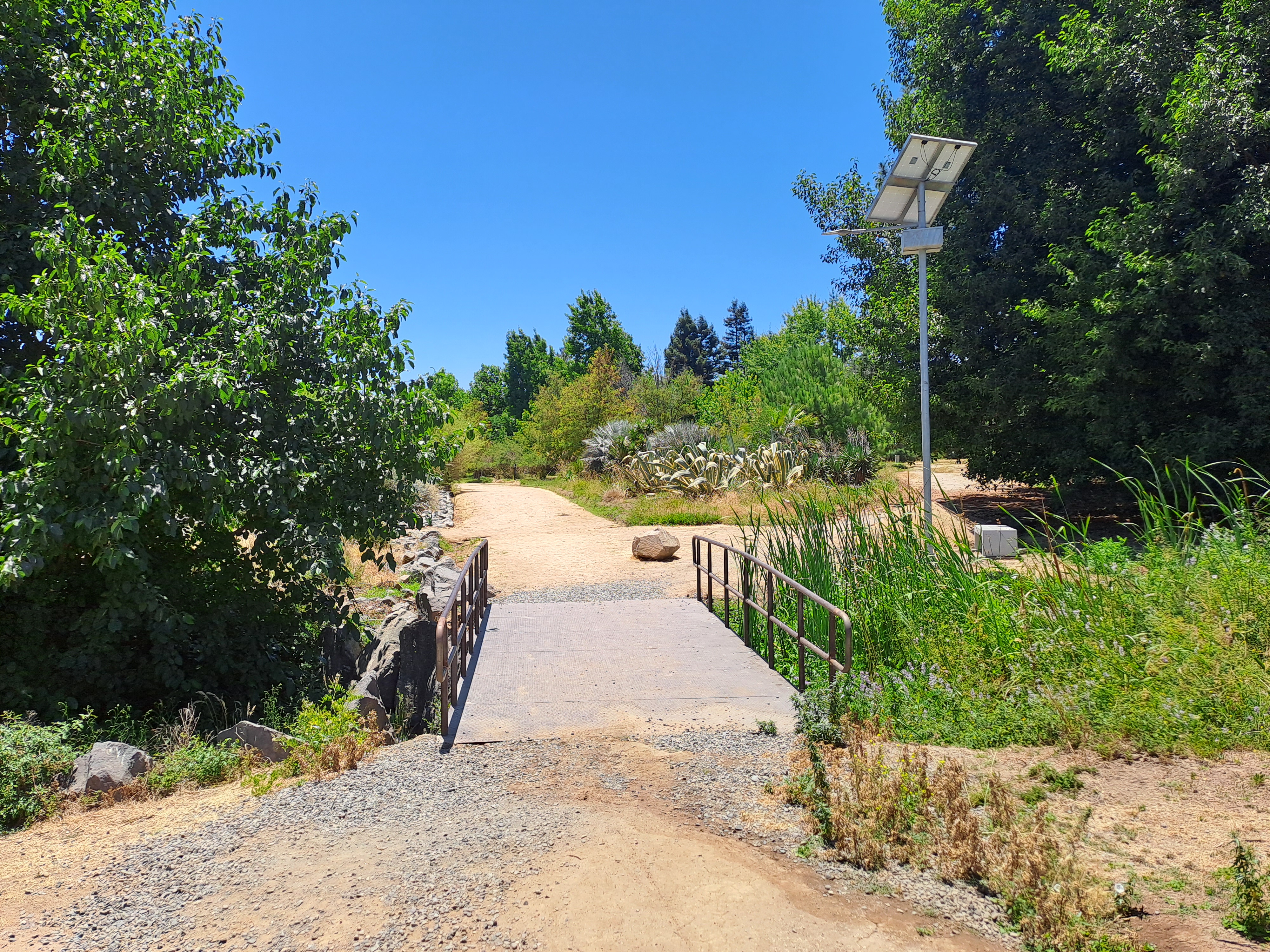 Fotografía de un puente amplio con el que cuenta el parque